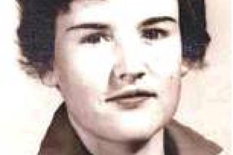 Article Image Alt Text