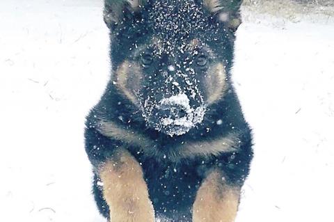 Coal County snow adventures!