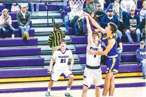 Article Image Alt Text