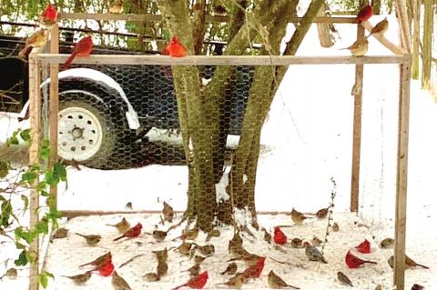 Winter in “Cold County!”