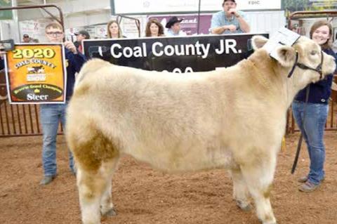 County Junior Livestock Premium Sale Winners 