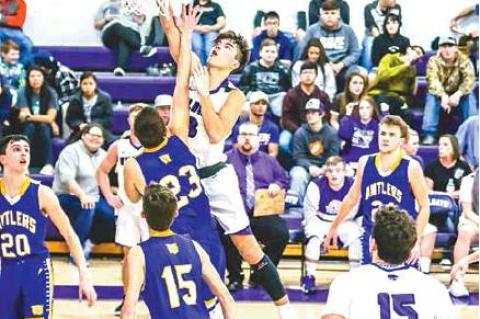 Article Image Alt Text