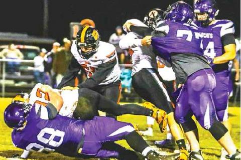 Article Image Alt Text