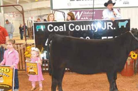 County Junior Livestock Premium Sale Winners 