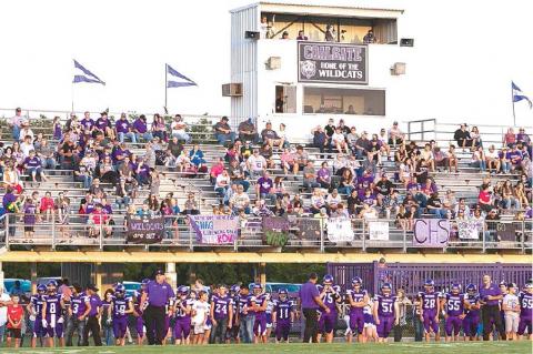 Article Image Alt Text