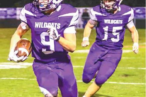 Article Image Alt Text