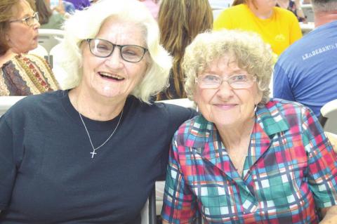 Article Image Alt Text