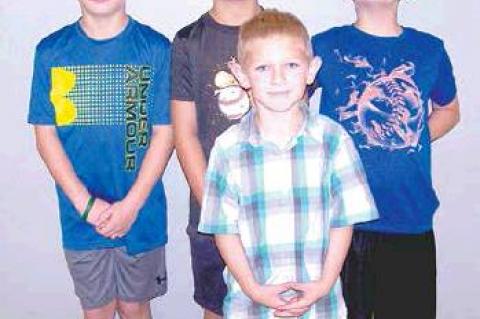 Article Image Alt Text