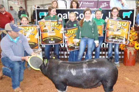 County Junior Livestock Premium Sale Winners 