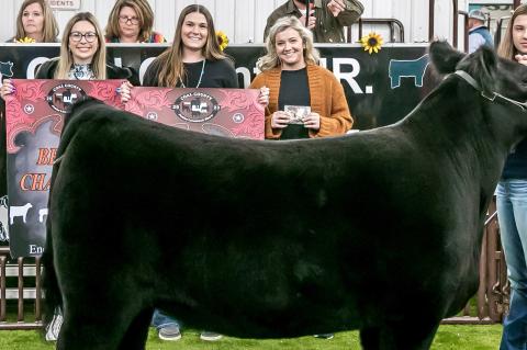 Coal County Junior Livestock Show Premium Sale Results