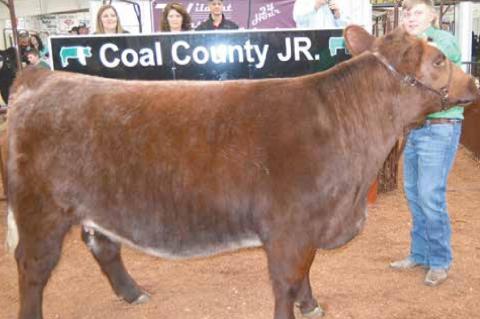 County Junior Livestock Premium Sale Winners 