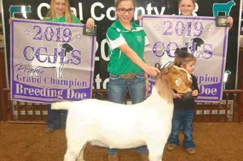 Article Image Alt Text