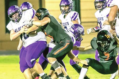 Wildcats lose at Lindsay