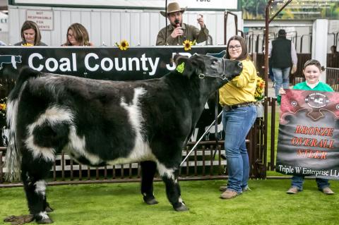 Coal County Junior Livestock Show Premium Sale Results