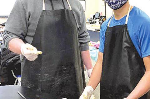 Disecting sharks -- a “Jawsome” experience