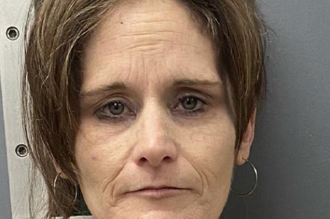 Lehigh woman facing felony and misdemeanor charges
