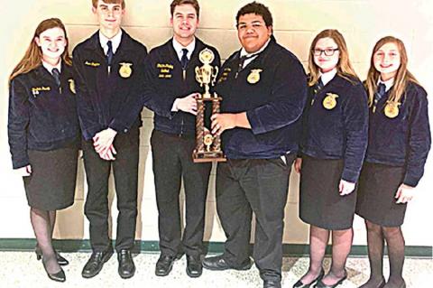 Article Image Alt Text