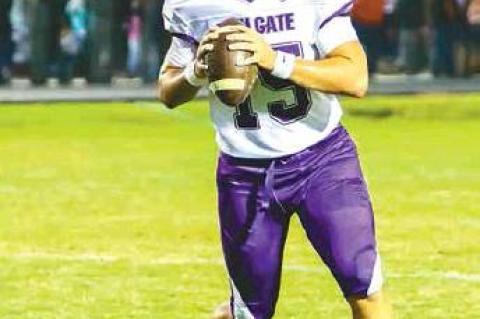 Article Image Alt Text