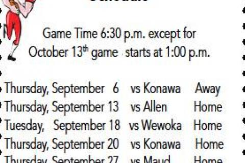 Article Image Alt Text