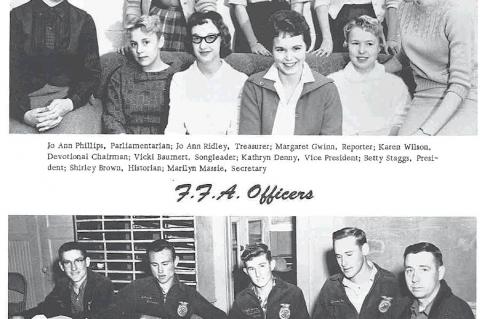 Article Image Alt Text