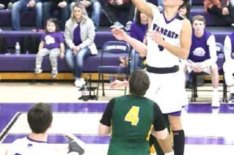 Article Image Alt Text