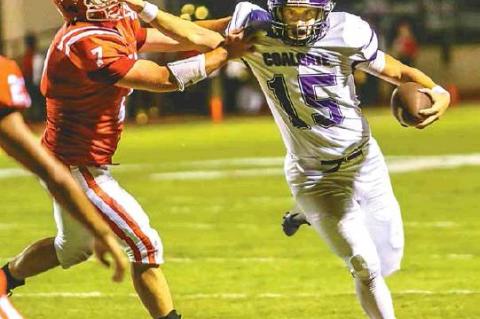 Article Image Alt Text