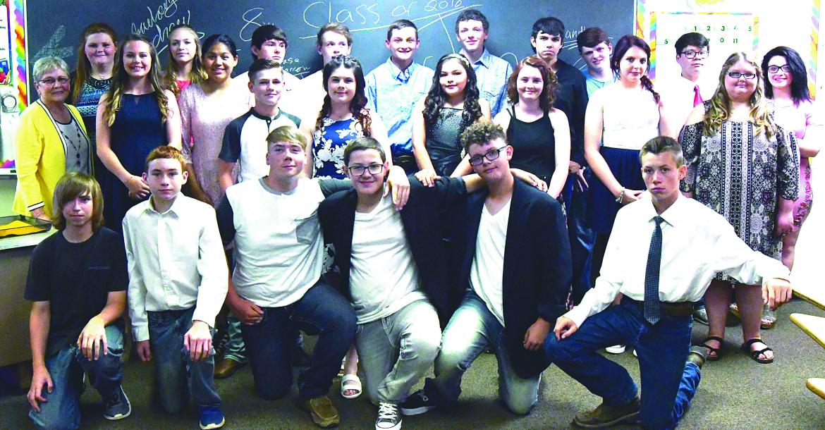 Article Image Alt Text